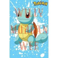 Pokemon Squirtle Pokemon Squirtle